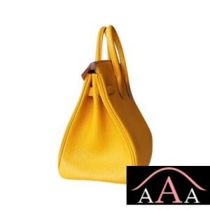 HERMES BIRKIN 25 HANDBAG 9D AMBRE TOGO GHW-4.jpg