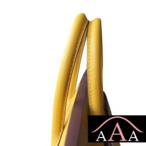 HERMES BIRKIN 25 HANDBAG 9D AMBRE TOGO SHW-5.jpg