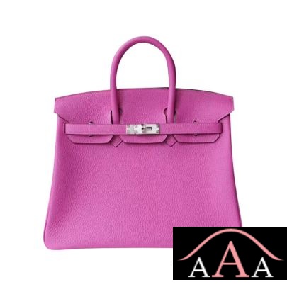 HERMES BIRKIN 25 HANDBAG 9I MAGNOLIA TOGO SHW-1.jpg