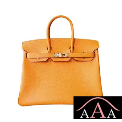 HERMES BIRKIN 25 HANDBAG 9V JAUNE DOR EPSOM GHW-1.jpg