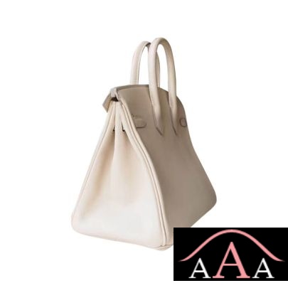 HERMES BIRKIN 25 HANDBAG CC10 CRAIE SWIFT GHW-5.jpg