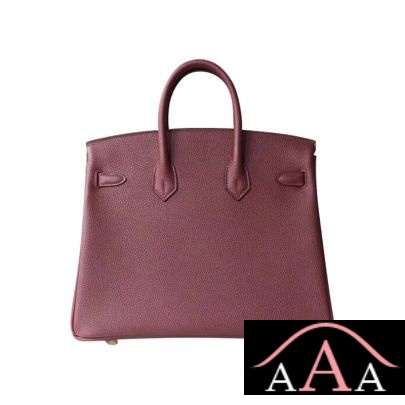 HERMES BIRKIN 25 HANDBAG CK55 ROUGE H TOGO GHW-4.jpg