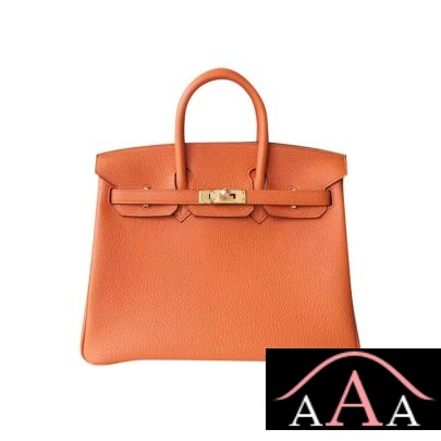 HERMES BIRKIN 25 HANDBAG CK93 ORANGE TOGO GHW-1.jpg
