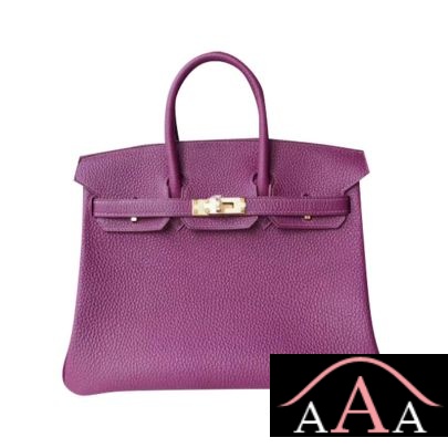 HERMES BIRKIN 25 HANDBAG P9 ANEMONE TOGO GHW-1.jpg