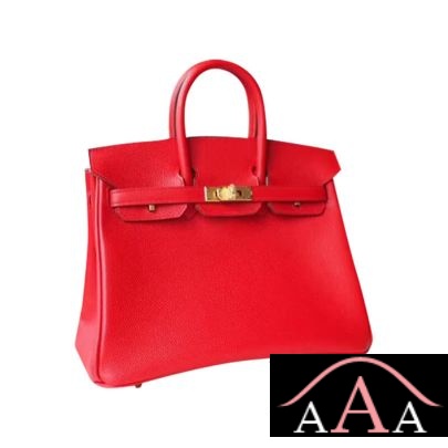 HERMES BIRKIN 25 HANDBAG Q5 ROUGE CASAQUE EPSOM GHW-3.jpg
