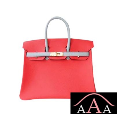 HERMES BIRKIN 25 HANDBAG S5 ROUGE TOMATE AND 4Z GRIS MOUETTE EPSOM GHW-1.jpg