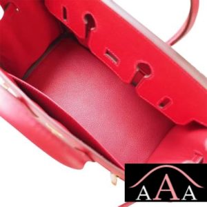 HERMES BIRKIN 25 HANDBAG S5 ROUGE TOMATE TOGO GHW-2.jpg