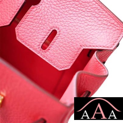 HERMES BIRKIN 25 HANDBAG T5 ROSE JAIPUR TOGO GHW-2.jpg