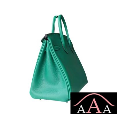 HERMES BIRKIN 25 HANDBAG U4 VERT VERTIGO EVERCOLOR GHW-4.jpg