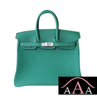 HERMES BIRKIN 25 HANDBAG U4 VERT VERTIGO TOGO SHW-1.jpg