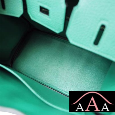 HERMES BIRKIN 25 HANDBAG U4 VERT VERTIGO TOGO SHW-2.jpg