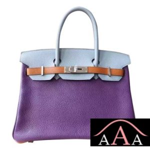 HERMES BIRKIN 30 BAG MULTICOLORED P9 ANEMONE TOGO CALFSKIN SHW-1.jpg
