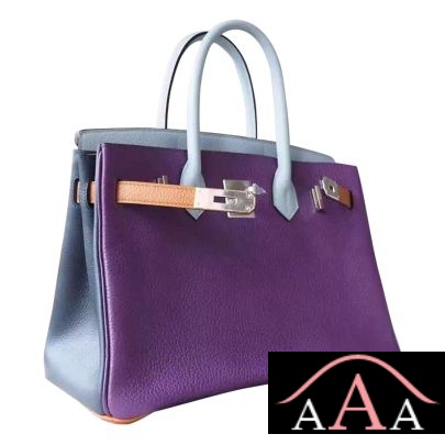 HERMES BIRKIN 30 BAG MULTICOLORED P9 ANEMONE TOGO CALFSKIN SHW-3.jpg