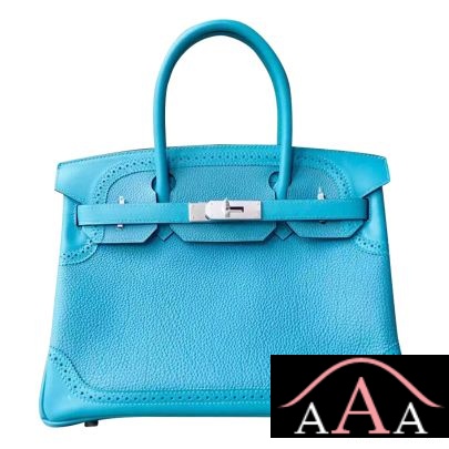 HERMES BIRKIN 30 HANDBAG GHILLIES 7B TURQUOISE TOGO PHW-1.jpg