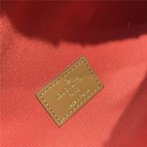 Louis Vuitton Monogram Teddy Bumbag Biege M55425-9