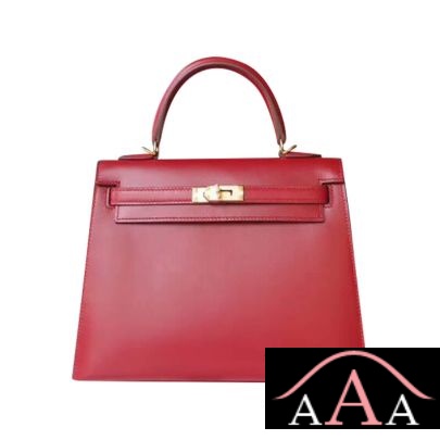 Hermes Kelly 25 Handbag B5 Ruby Tadelakt Ghw