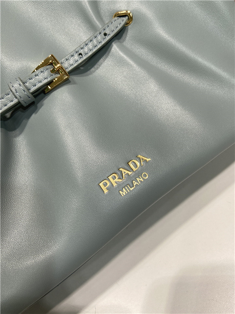 Prada Small Dada Bag 1BG586 Blue-8.jpg